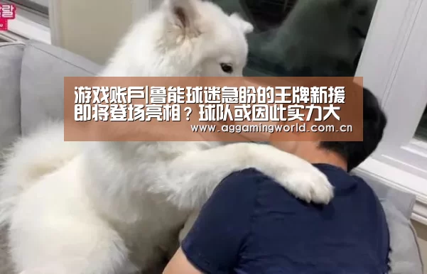 游戏账户|鲁能球迷急盼的王牌新援即将登场亮相？球队或因此实力大增