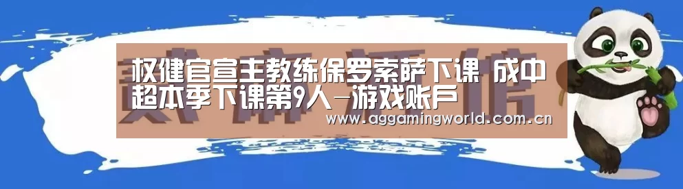 权健官宣主教练保罗索萨下课 成中超本季下课第9人-游戏账户